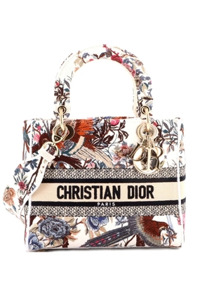 Christian Dior Pre-Owned Lady D-Lite Bag Embroidered Canvas Medium satchel - Multicolour