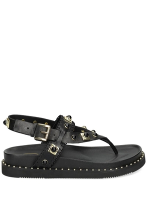 Ash Uteca stud-embellished leather sandals - Black