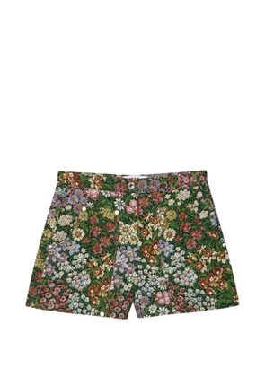 MSGM floral print shorts - Green