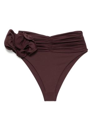 Magda Butrym floral-appliqué bikini bottoms - Brown