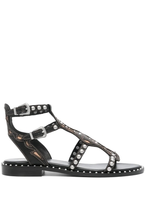 Ash Plaza leather sandals - Black