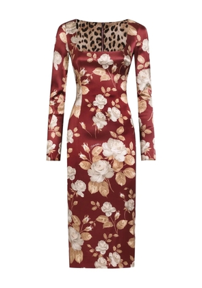 Dolce & Gabbana rose-print square-neck midi dress - Brown