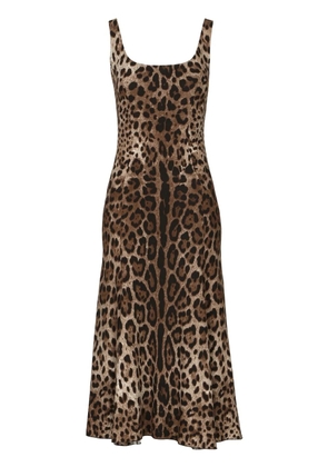 Dolce & Gabbana leopard-print midi dress - Brown