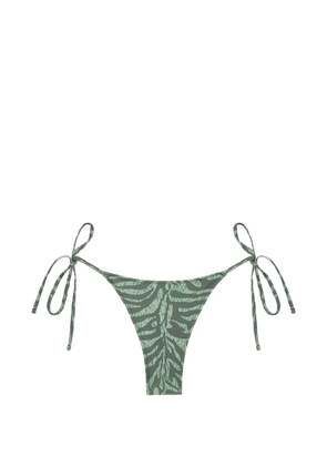 TROPIC OF C zebra-pattern bikini bottom - Green