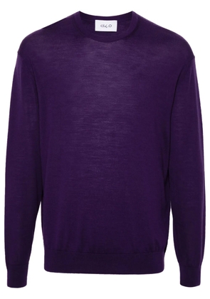 D4.0 wool sweater - Purple