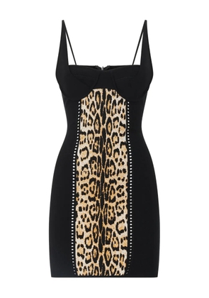 Roberto Cavalli jaguar-print panelled mini dress - Brown
