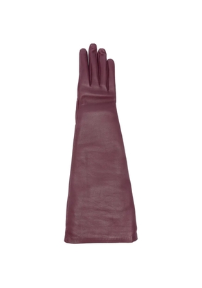 Saint Laurent lambskin gloves - Purple