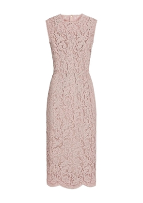 Dolce & Gabbana cordonetto lace midi dress - Pink