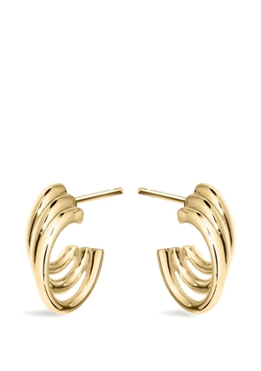 Shaun Leane Bound hoop earrings - Gold