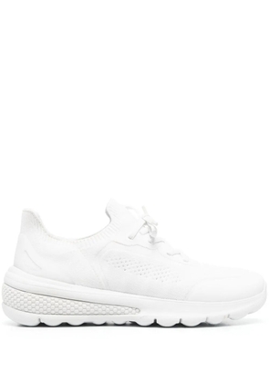 Geox Spherica low-top sneakers - White