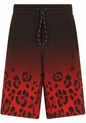Dolce & Gabbana gradient leopard-print track shorts - Red