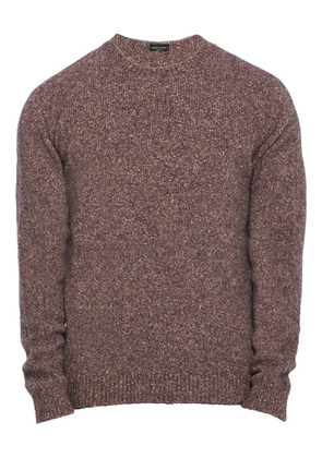 Roberto Collina crew-neck sweater - Brown