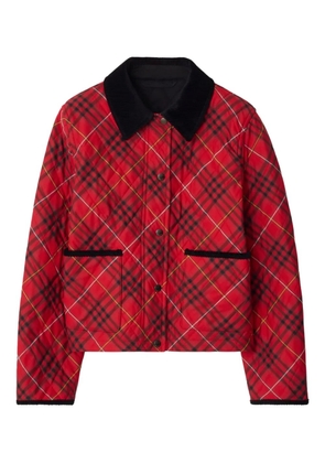 Burberry check quilted jacket - Red