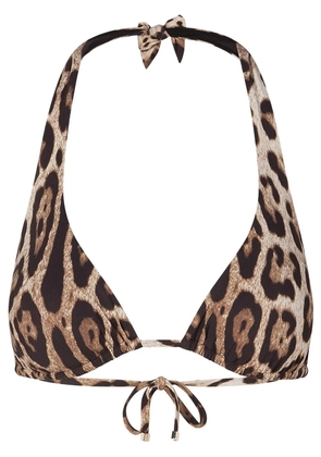 Dolce & Gabbana leopard-print triangle bikini top - Brown