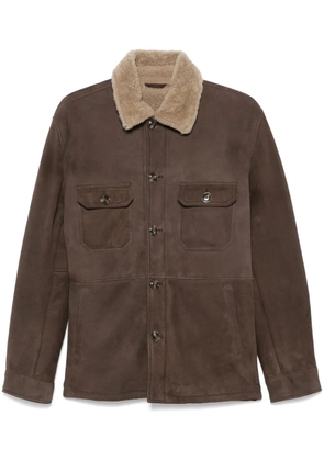 Barba suede jacket - Brown
