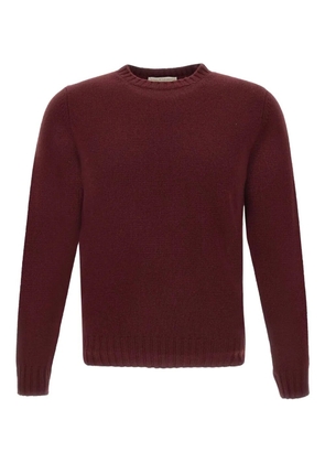 Filippo De Laurentiis crew-neck sweater - Red