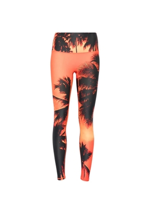 BLUE SKY INN palm-print performance leggings - Orange