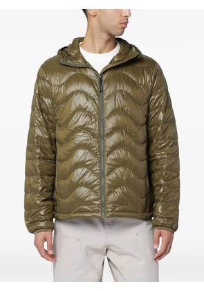 PURPLE MOUNTAIN OBSERVATORY quilted hooded jacket - Green