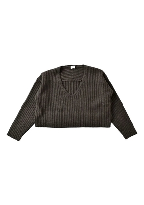 C.T.PLAGE V-neck ribbed sweater - Brown