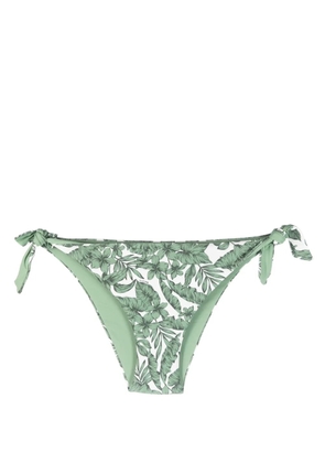 TWINSET leaf-print bikini bottoms - Green