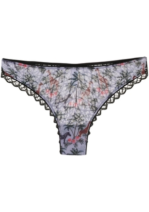 Dolci Follie Zebra brazilian briefs - Black