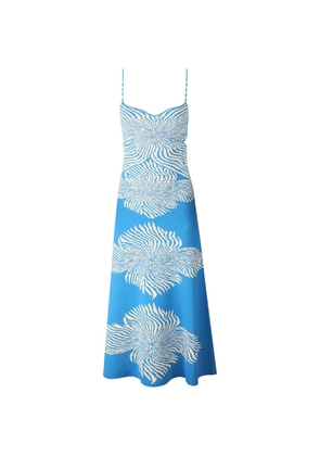 Alexis Rayana floral-print maxi dress - Blue