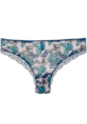 Dolci Follie butterfly brazilian briefs - Blue