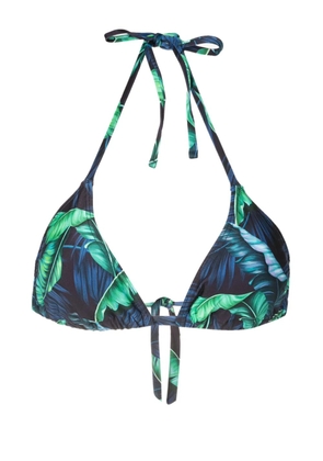 Lygia & Nanny Iasmin leaf-print bikini top - Blue