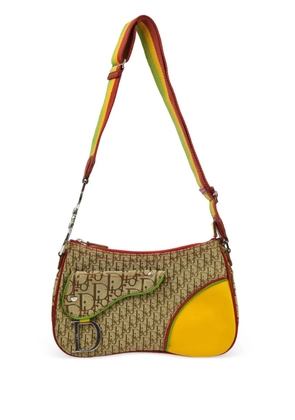 Christian Dior Pre-Owned 2004 Rasta Trotter Saddle shoulder bag - Neutrals