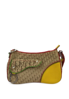 Christian Dior Pre-Owned 2004 Rasta-Color Trotter Saddle shoulder bag - Brown
