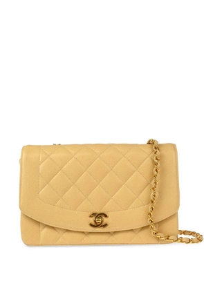 CHANEL Pre-Owned 1995 medium Diana shoulder bag - Neutrals