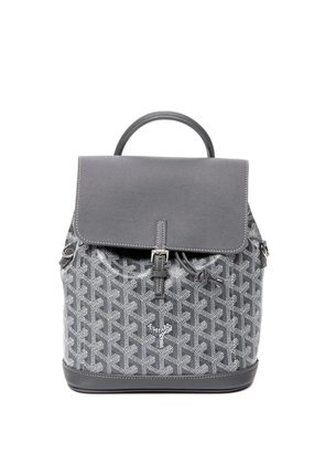Goyard Pre-Owned mini Alpin backpack - Grey