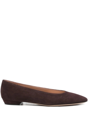 Gianvito Rossi pointed-toe ballet flats - Brown