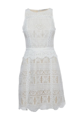 AllSaints lace flared mini dress - White