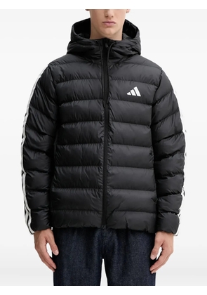 adidas hooded stripe-detail padded jacket - Black