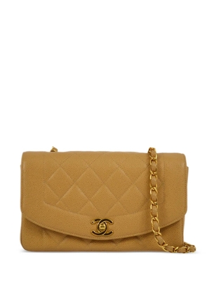 CHANEL Pre-Owned 1995 small Diana shoulder bag - Neutrals