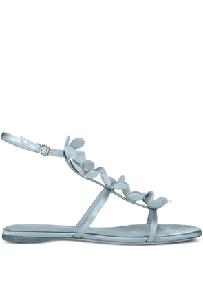 Giambattista Valli flower-embellished flat sandals - Blue