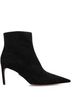 Dolce & Gabbana 80 mm pointed zip boots - Black