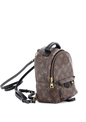 Louis Vuitton Pre-Owned Palm Springs Monogram Canvas Mini backpack - Brown