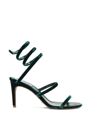 René Caovilla Cleo wrap-around sandals - Green