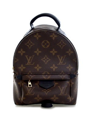 Louis Vuitton Pre-Owned 2020 Monogram Mini Palm Springs backpack - Brown