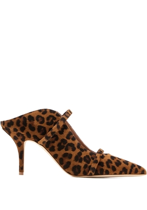 Malone Souliers leopard strap mules - Brown