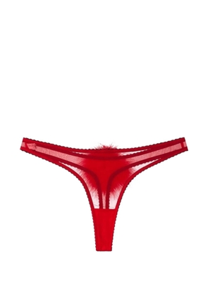 Gilda & Pearl feathered silk thong