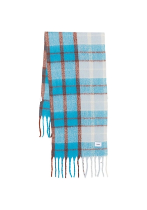 Bonsai fringed scarf - Blue