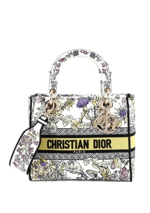 Christian Dior Pre-Owned Lady D-Lite Bag Embroidered Canvas Medium satchel - Multicolour