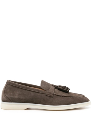Scarosso Leandra suede loafers - Brown