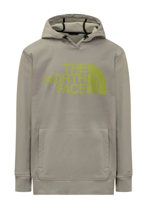 The North Face Tekno hoodie - Grey