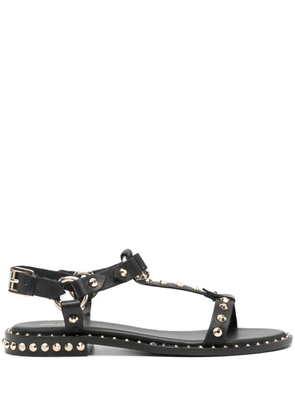 Ash stud-embellished leather sandals - Black