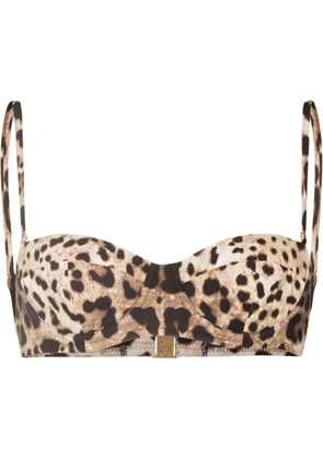 Dolce & Gabbana leopard-print bikini top - Brown