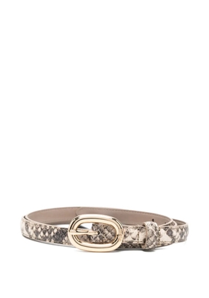 Maje snake-print oval-buckle belt - Neutrals